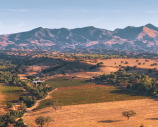 DISCOVERING THE SANTA MARIA VALLEY HISTORICAL MUSEUM